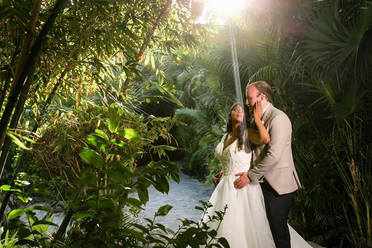Newlyweds embrace in sunbeam on jungle path