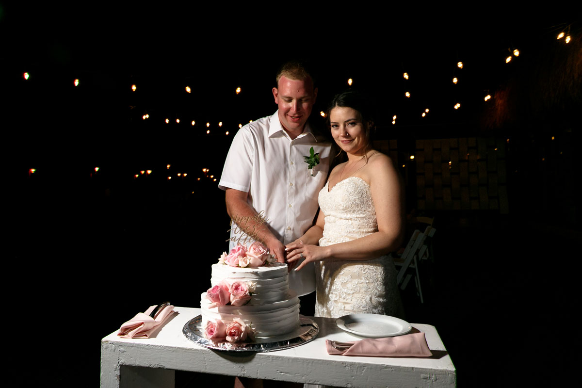 SmilingNewlywedsCutCake