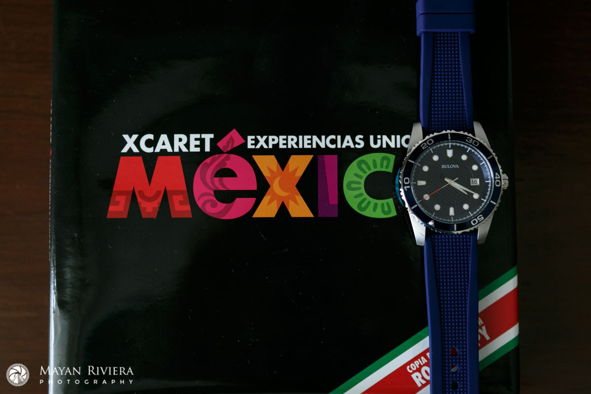 RoyaltonGroomRobiesWatch