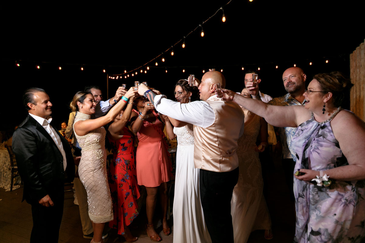 ReceptionGuestsToastNewlyweds