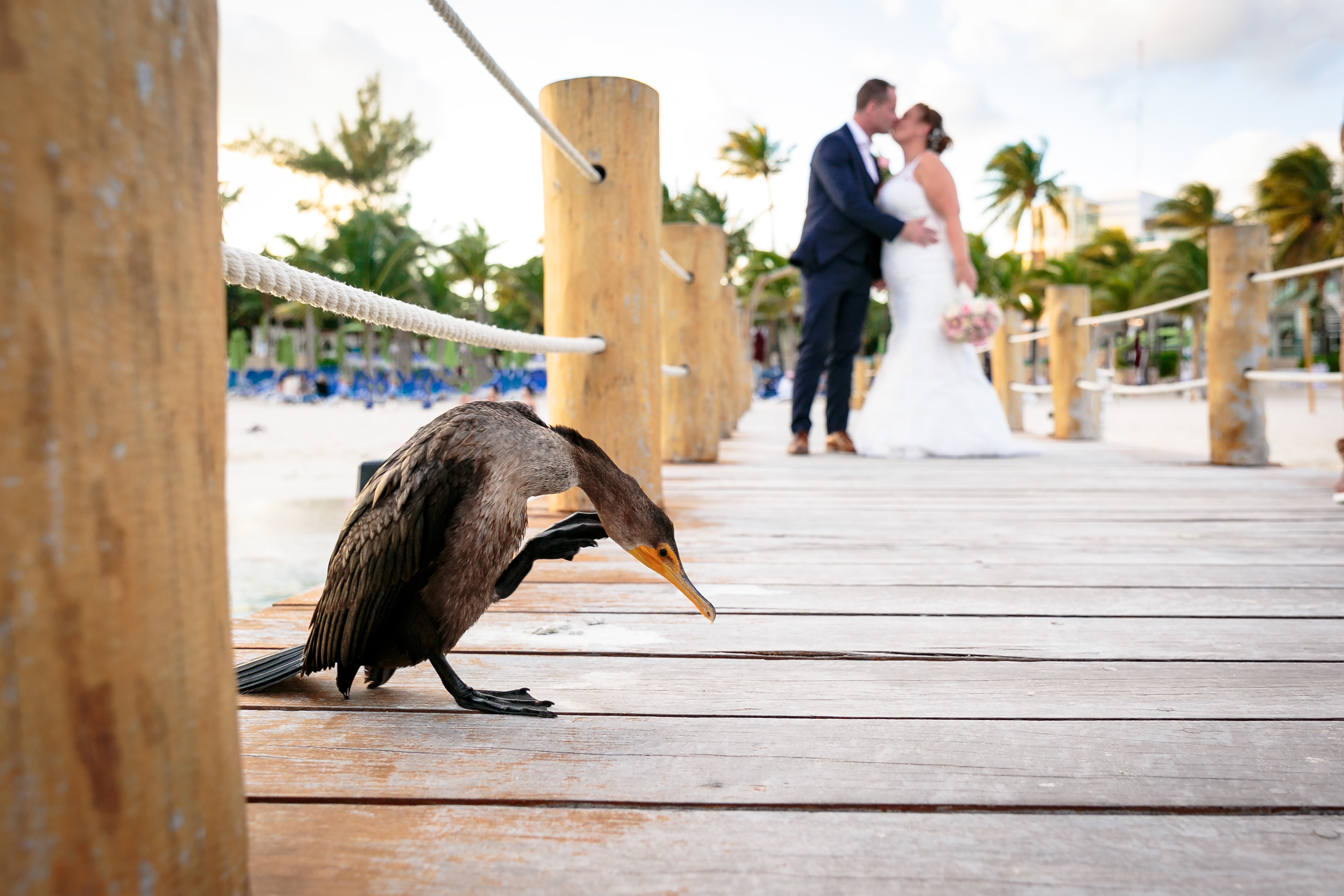 AzulBeachNewlywedsKissOnPier