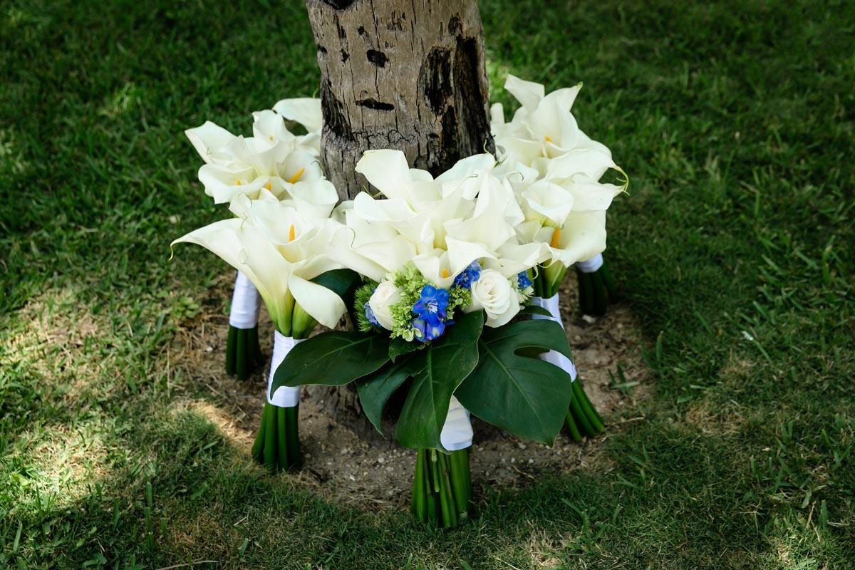 SandosPlayacarBridalDetails